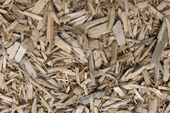 biomass boilers Cuckron